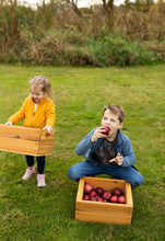 Load image into Gallery viewer, Cedar Crates Set of 2