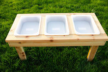 Load image into Gallery viewer, Indoor/Outdoor Triple Bin Sensory Table