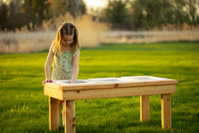 Load image into Gallery viewer, Indoor/Outdoor Triple Bin Sensory Table
