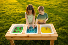 Load image into Gallery viewer, Indoor/Outdoor Triple Bin Sensory Table