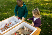 Load image into Gallery viewer, Extra Large 2 Bin Outdoor Sensory Table
