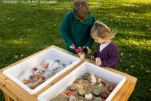 Load image into Gallery viewer, Extra Large 2 Bin Outdoor Sensory Table
