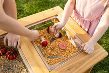 Load image into Gallery viewer, The Essential Dual Bin Sensory Table
